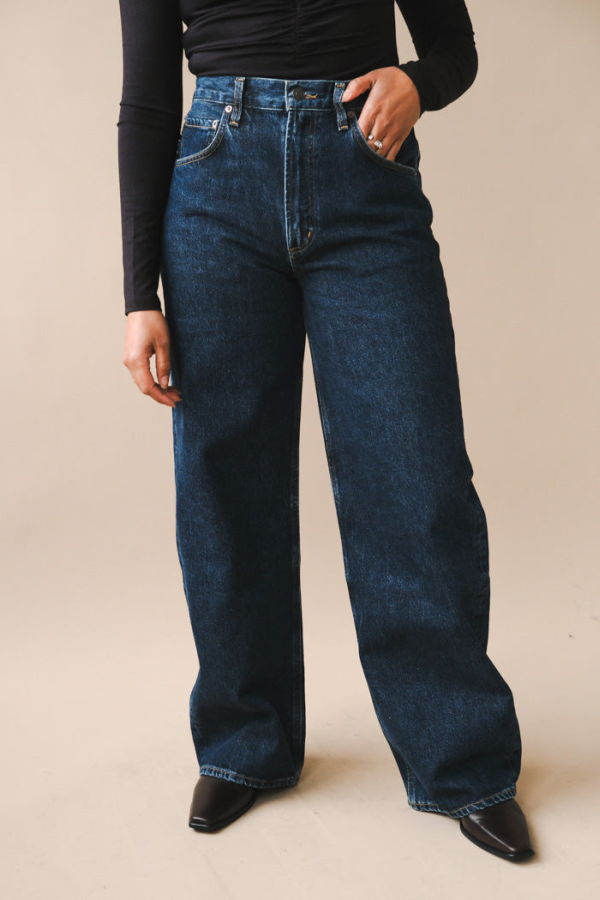 Agolde Low Curve Jean - Pendulum