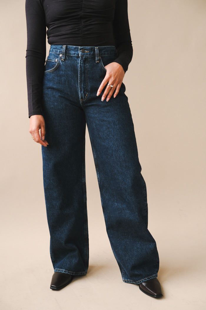 Agolde Low Curve Jean - Pendulum
