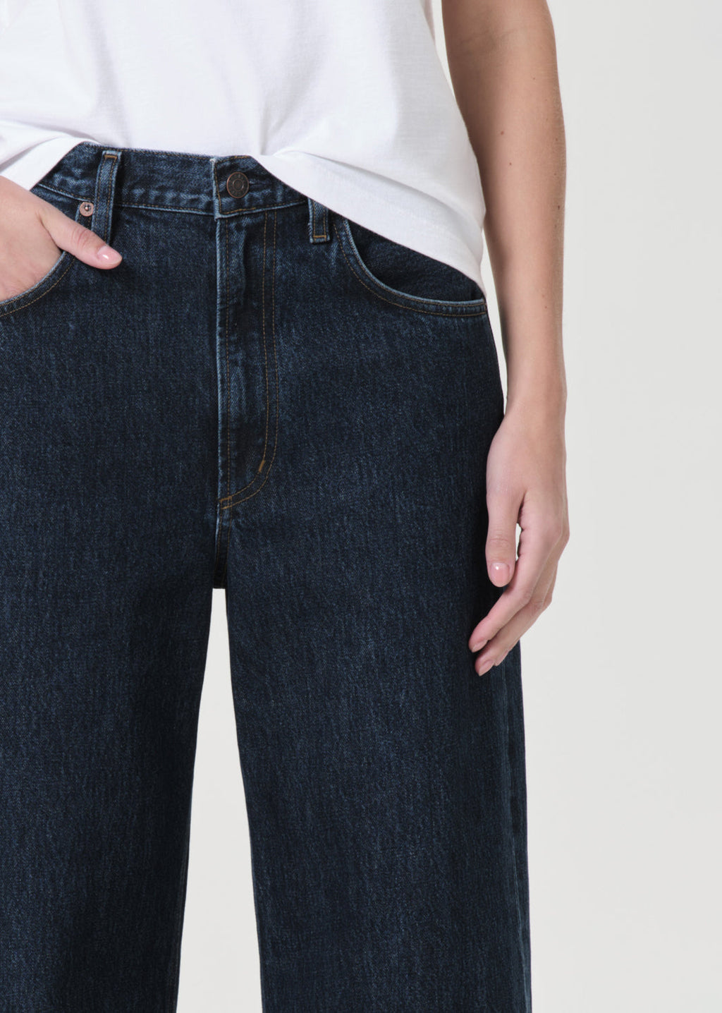 Agolde Low Curve Jean - Pendulum