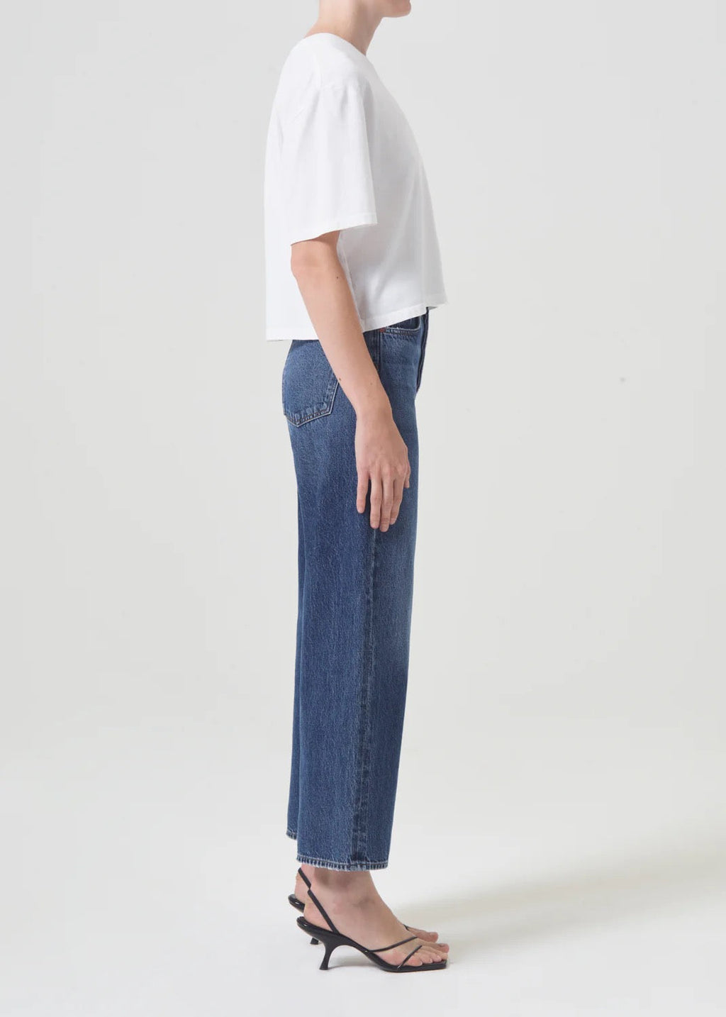 Agolde Ren Hi Rise Wide Leg - Control