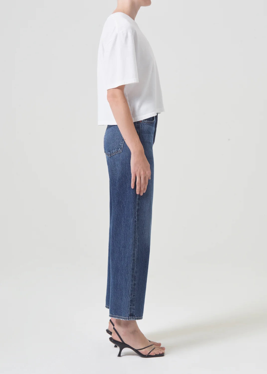 Agolde Ren Hi Rise Wide Leg - Control