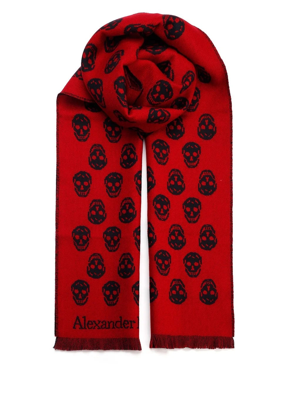 Alexander McQueen Skull Print Fringed Edge Scarf