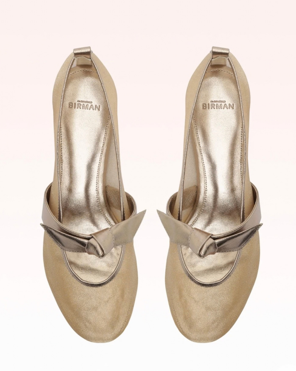 Alexandre Birman Clarita Ballerina - Luna