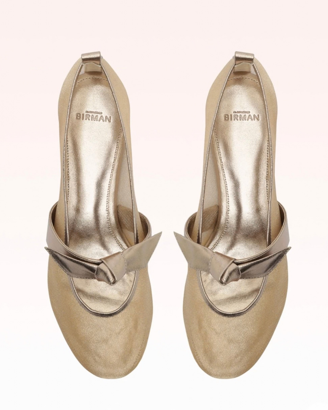 Alexandre Birman Clarita Ballerina - Luna