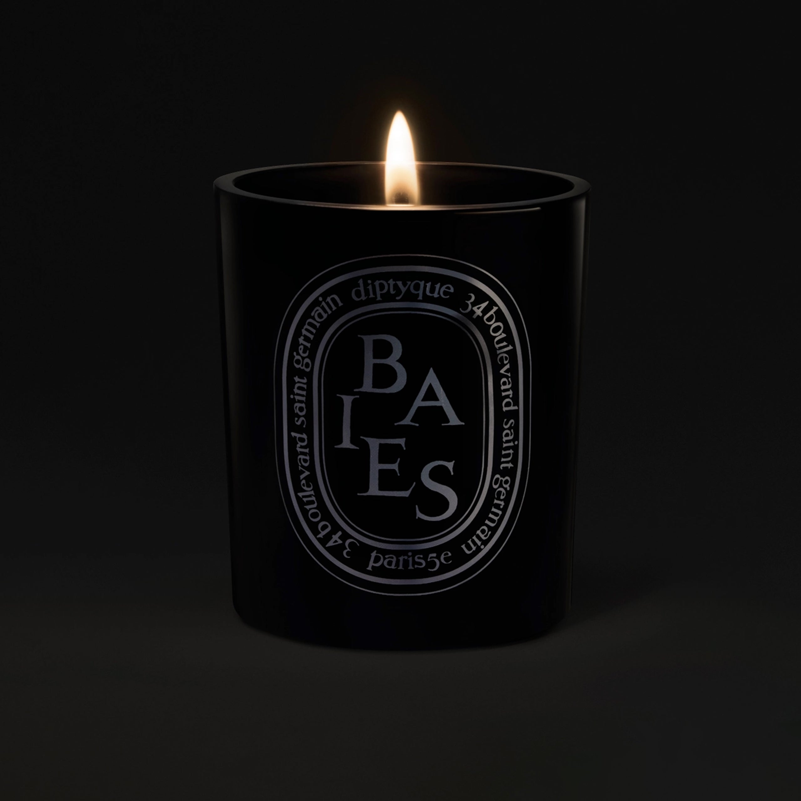 Diptyque Medium Candle (300 g) Candle - Berries