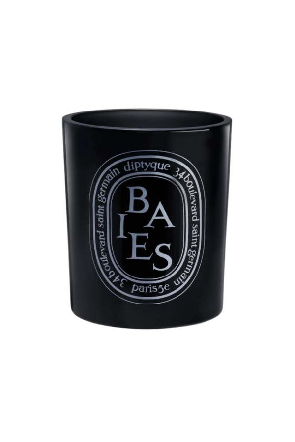 Diptyque Medium Candle (300 g) Candle - Berries