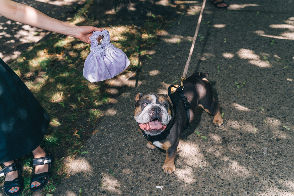 Bronze Age Velvet Halo Bag