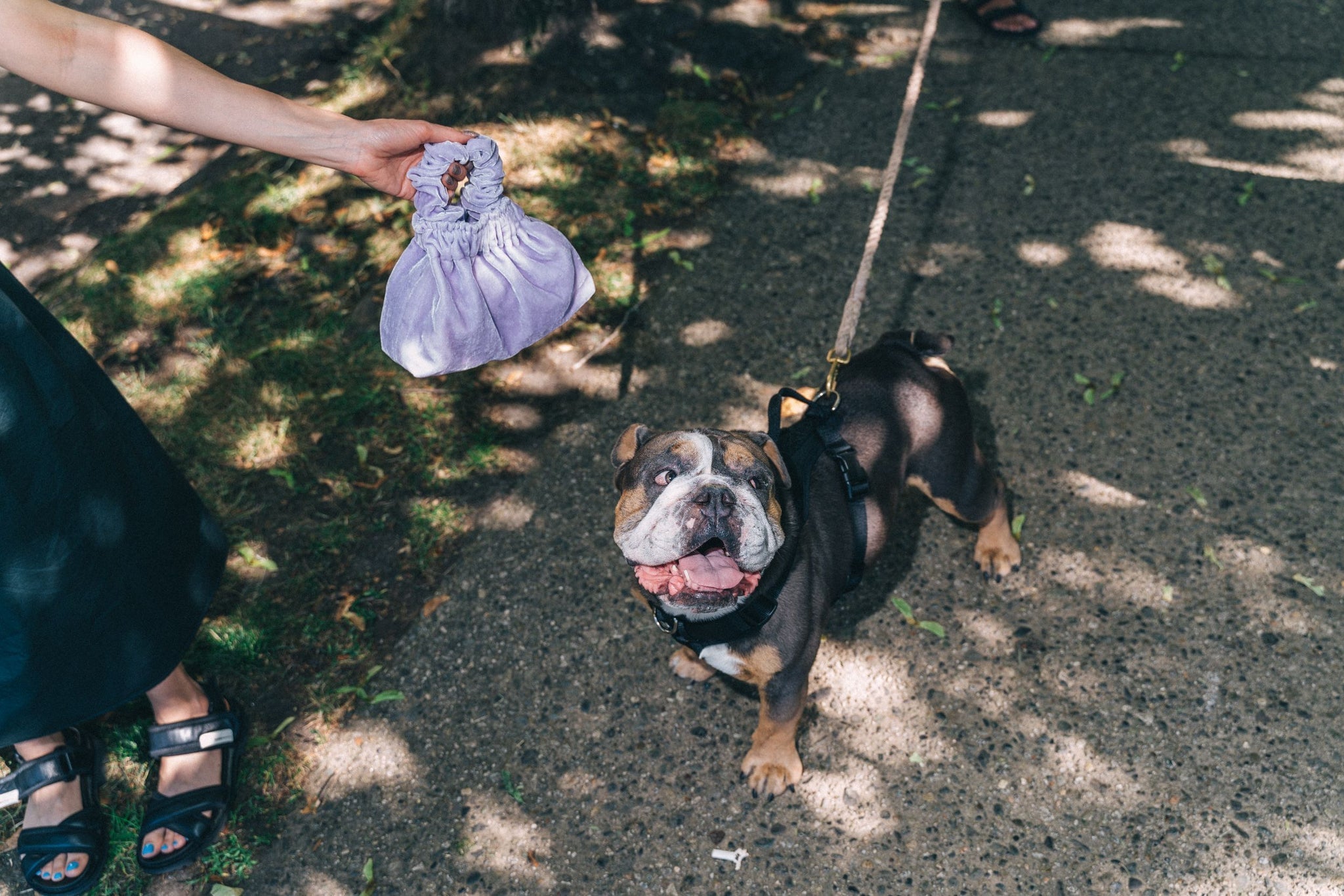 Bronze Age Velvet Halo Bag