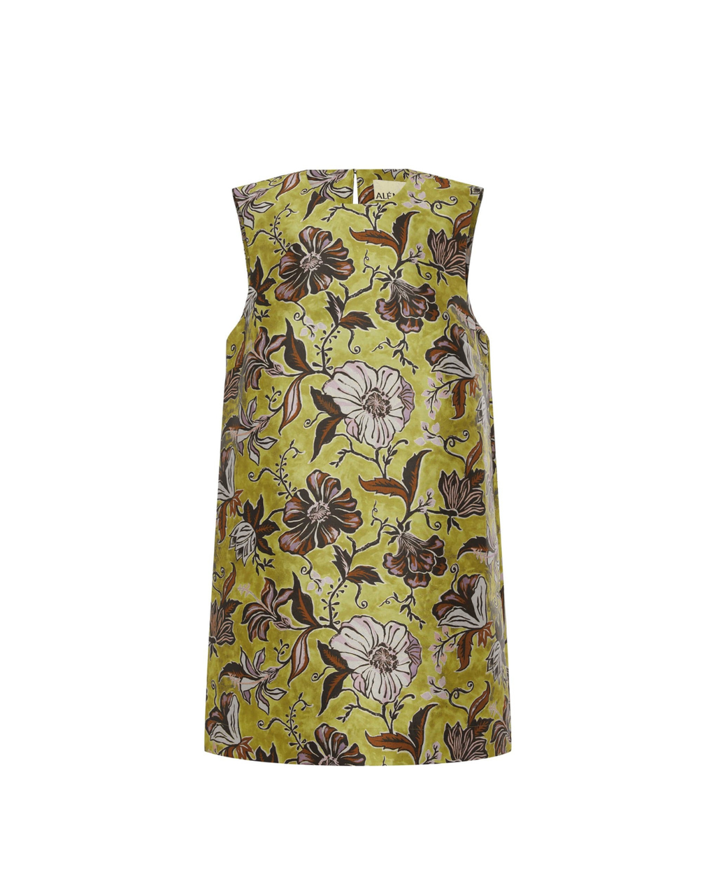 ALEMAIS Citron Mini Dress - Multi