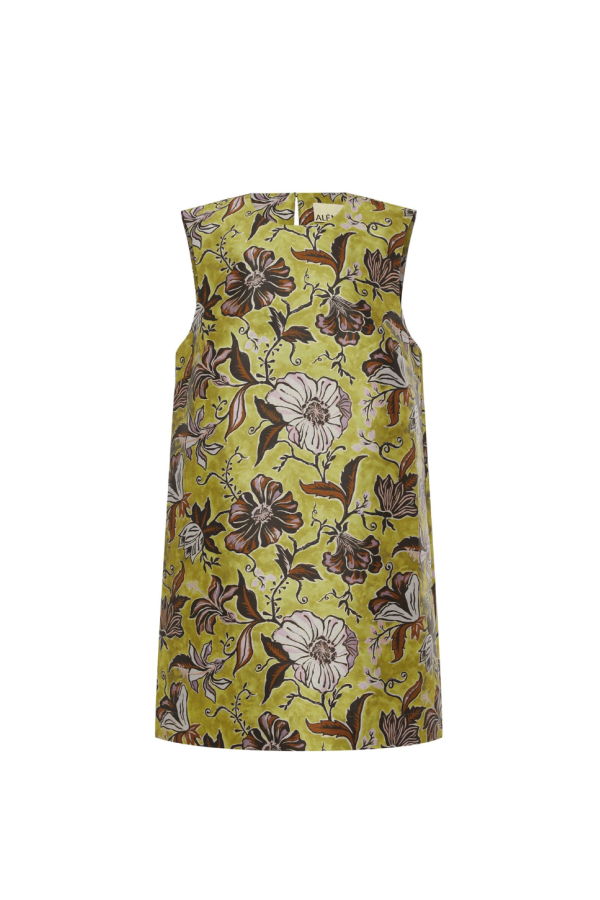 ALEMAIS Citron Mini Dress - Multi