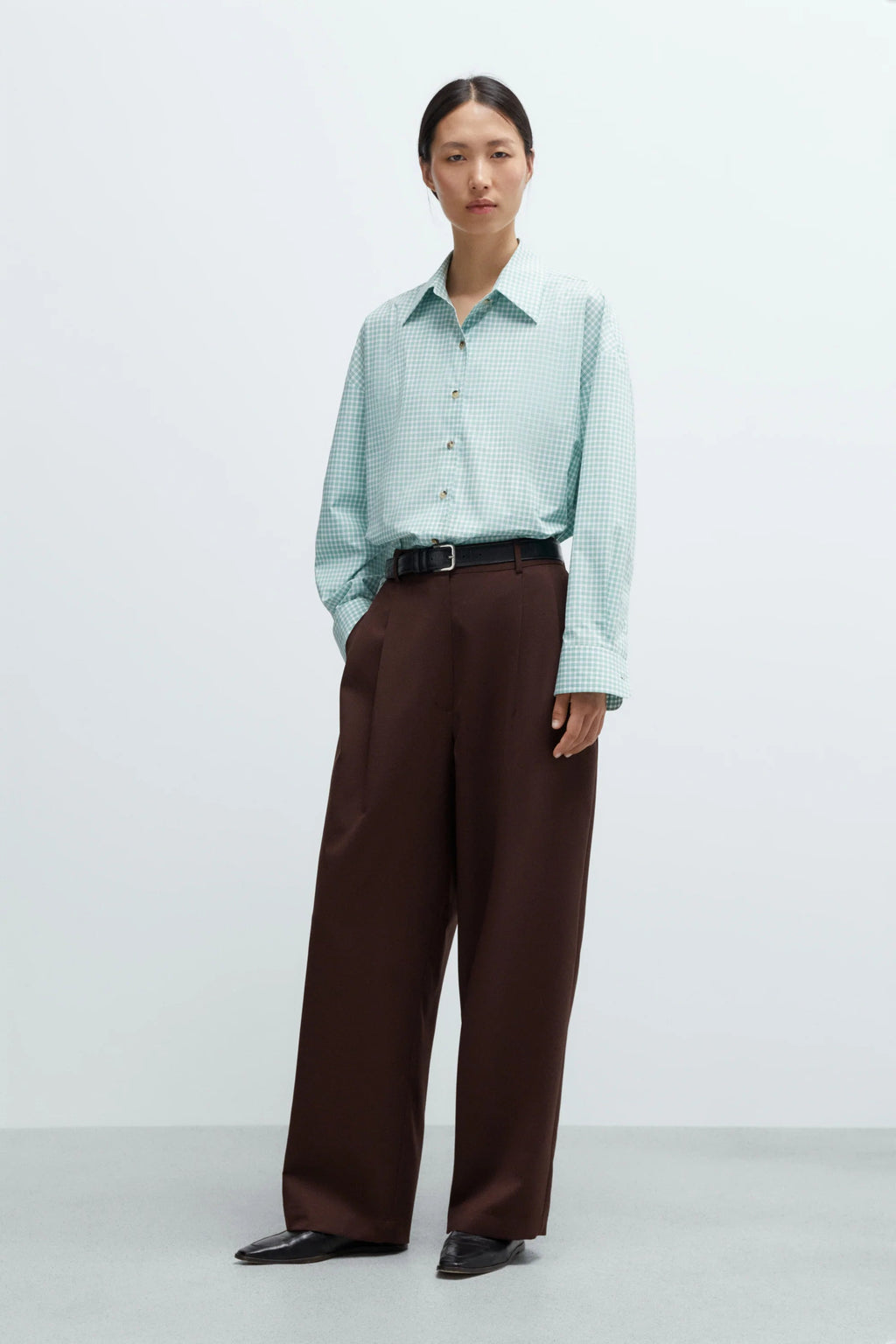 Cordera Oversized Shirt - Vichy Green