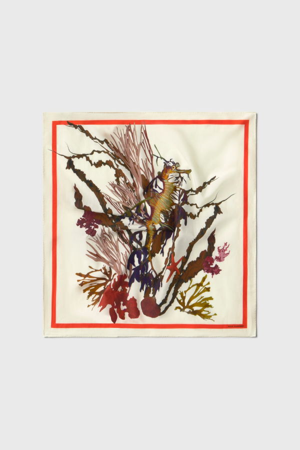 Silk Laundry Cotton Silk Scarf - Seahorse