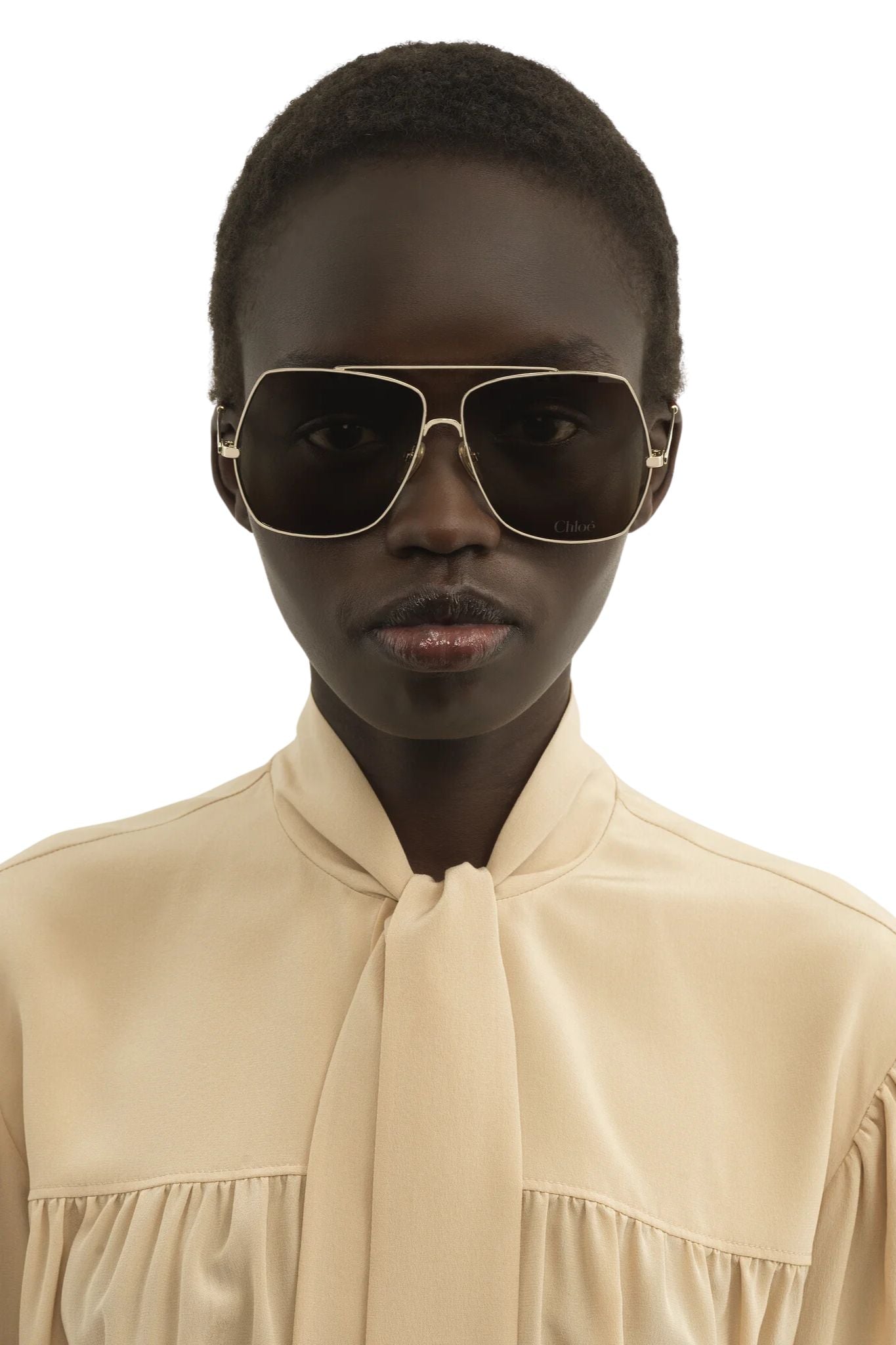Chloé Aly Sunglasses - Gold/Gradient Brown