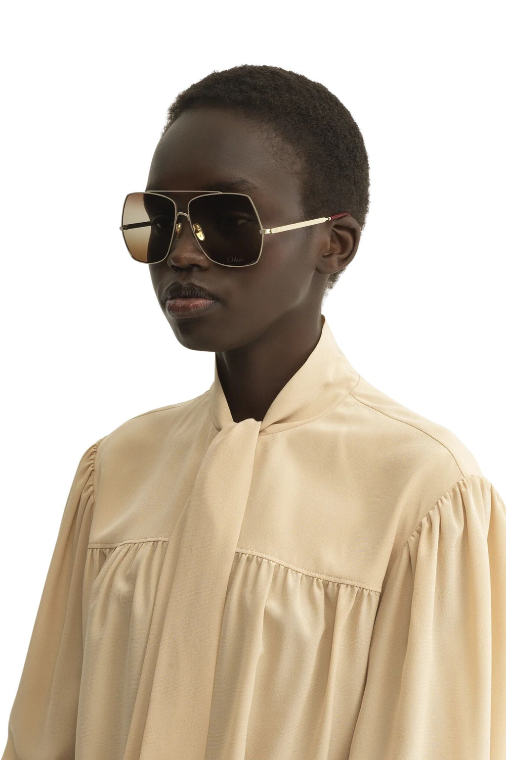 Chloé Aly Sunglasses - Gold/Gradient Brown