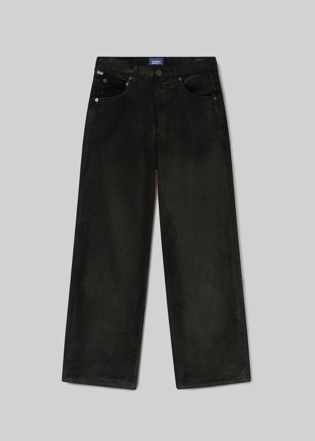 Citizens of Humanity Delfina Pants