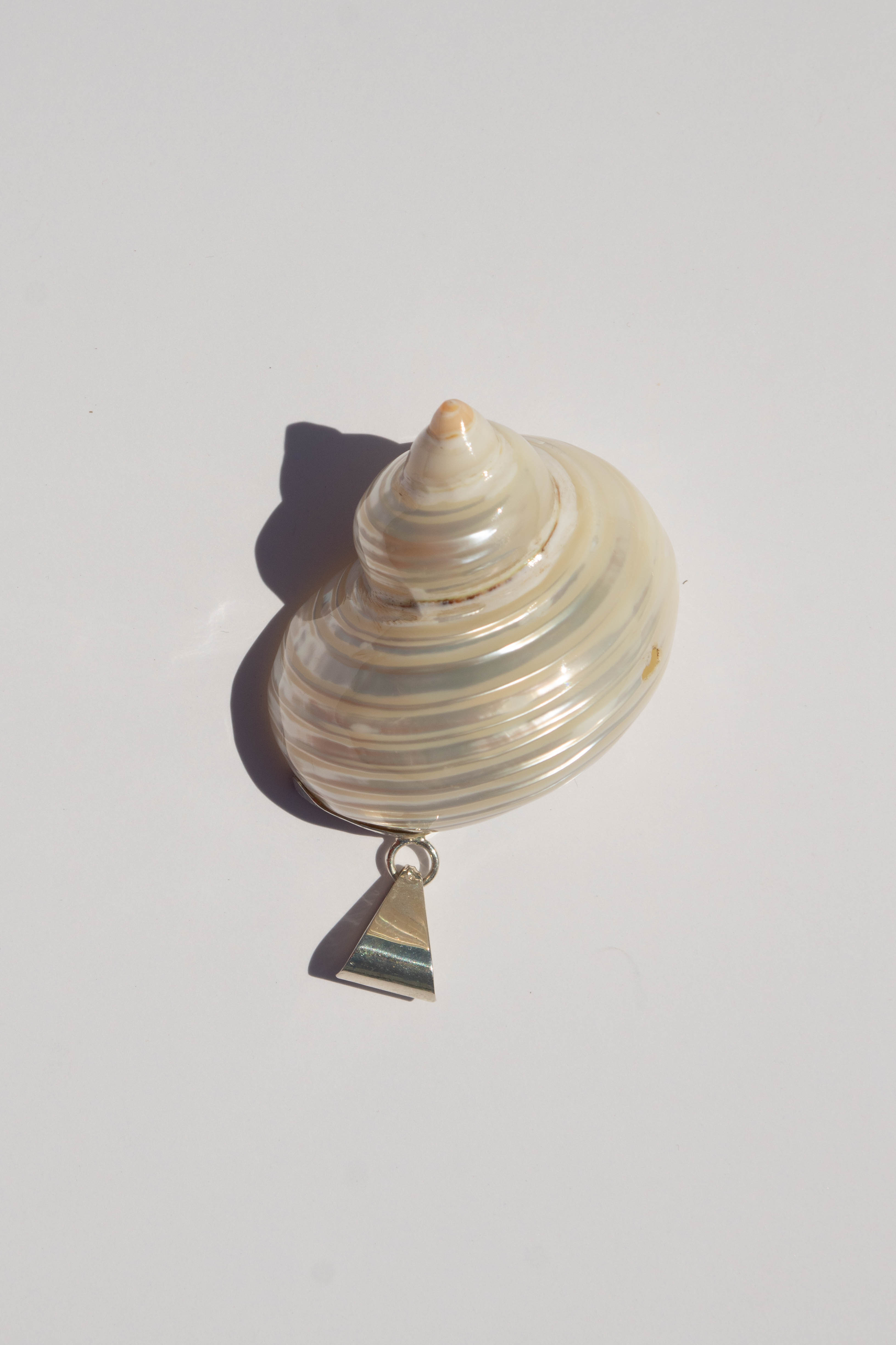 Odissea NY Conch Pendant Necklace