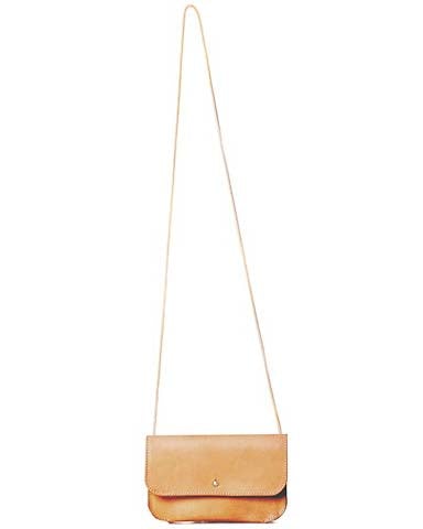 Erin Templeton straight and narrow bag