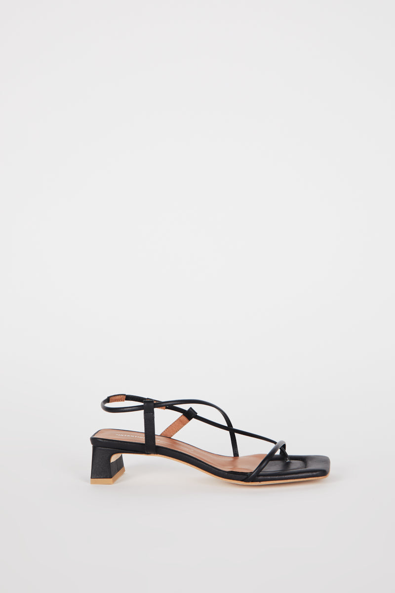 "INTENTIONALLY __________." Anca Heel