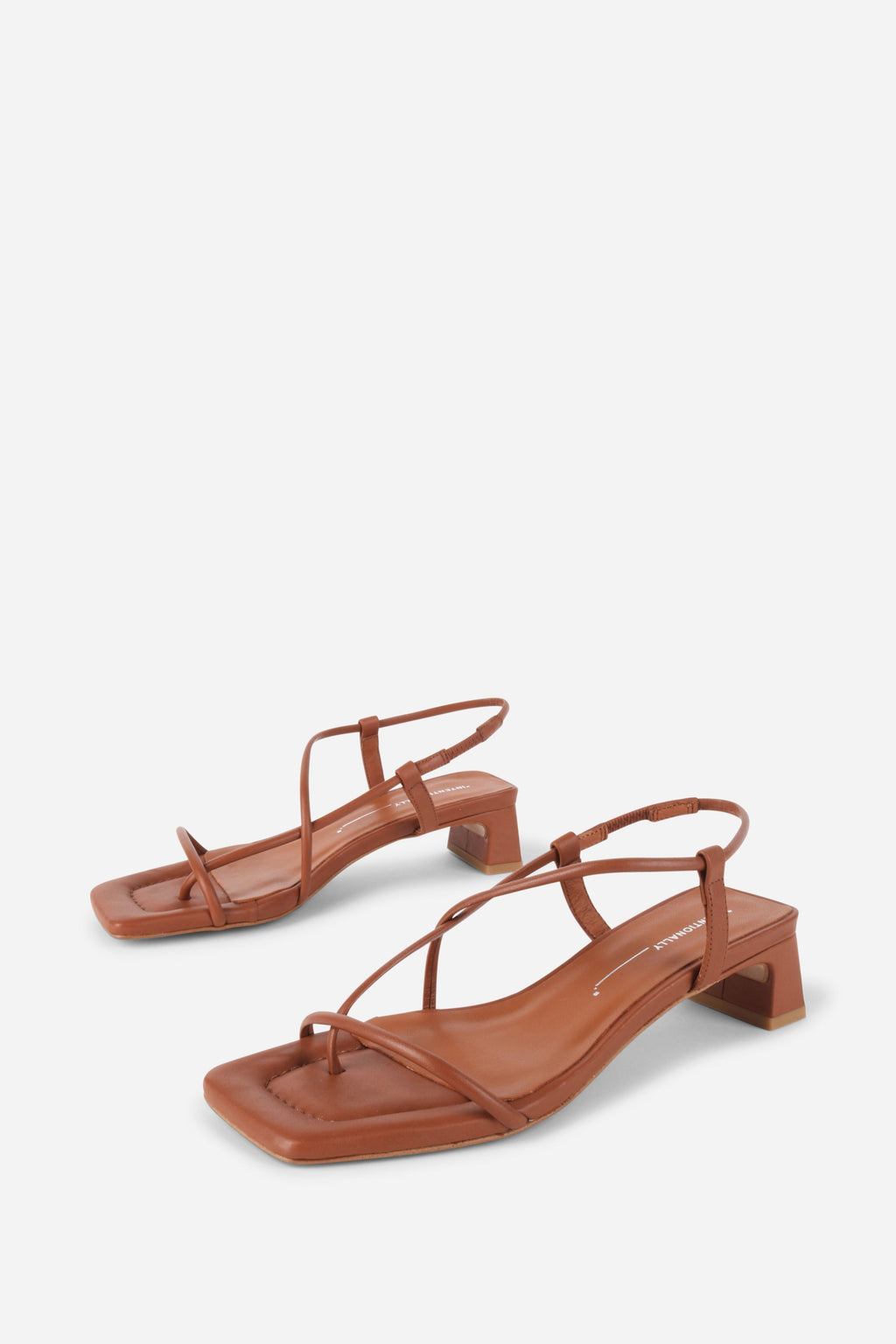 "INTENTIONALLY __________." Anca Heel