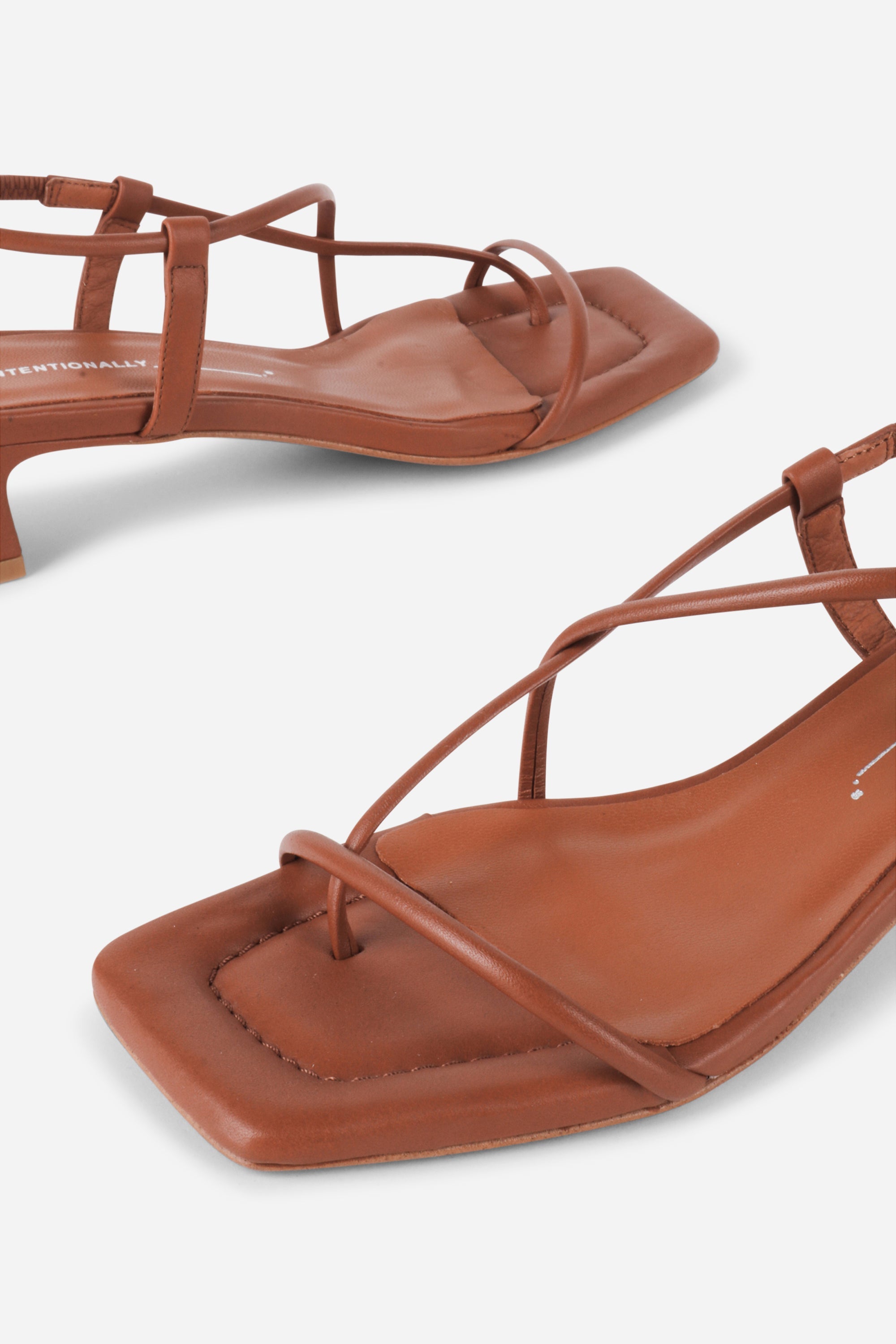 "INTENTIONALLY __________." Anca Heel