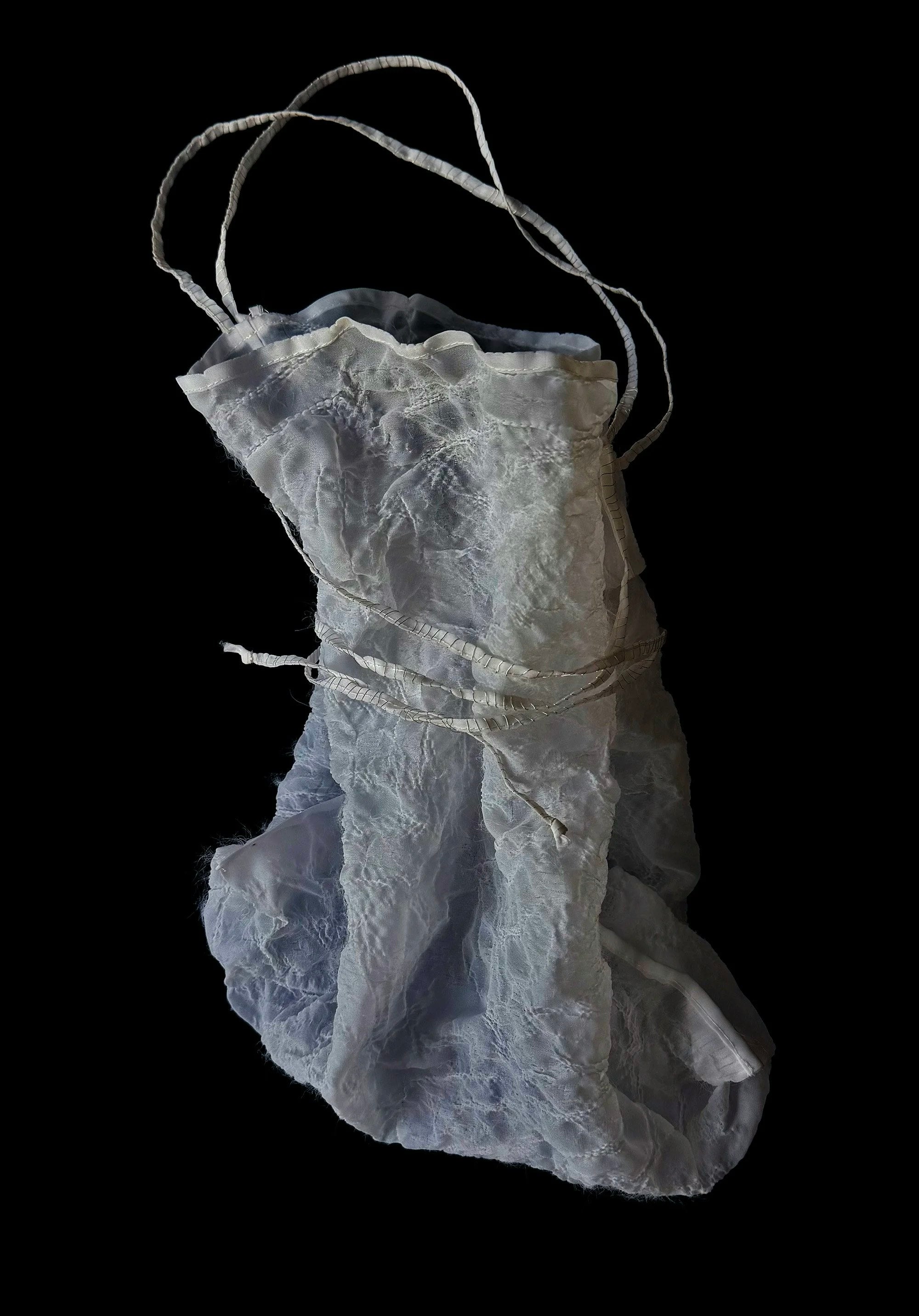 KM by LANGE Ani Organza Bag