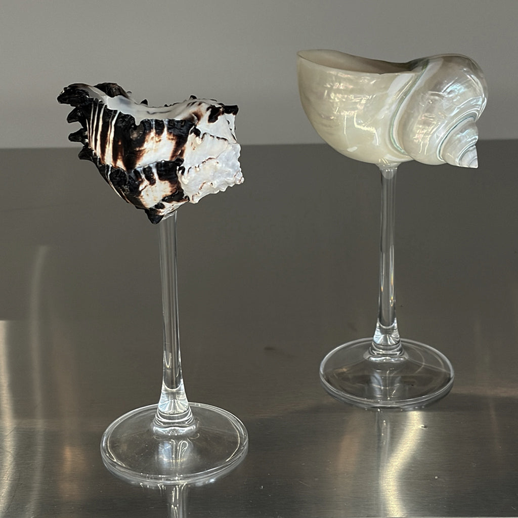 London Atelier Byproduct Shell Champagne Glass With Stem