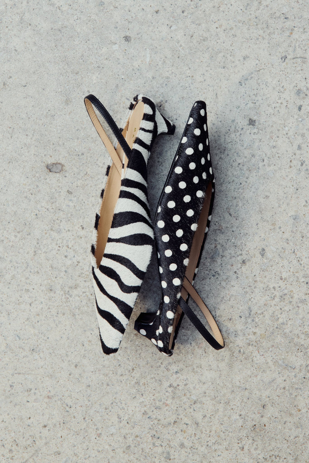 Maguire Floresta Zebra Pump Slingback Mule