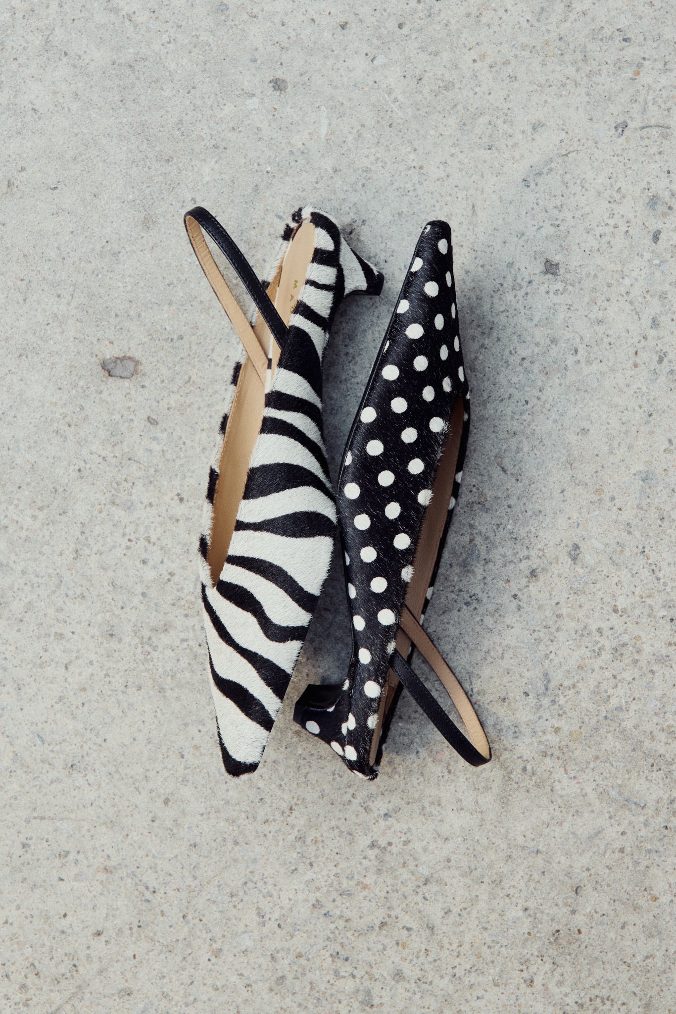 Maguire Floresta Zebra Pump Slingback Mule