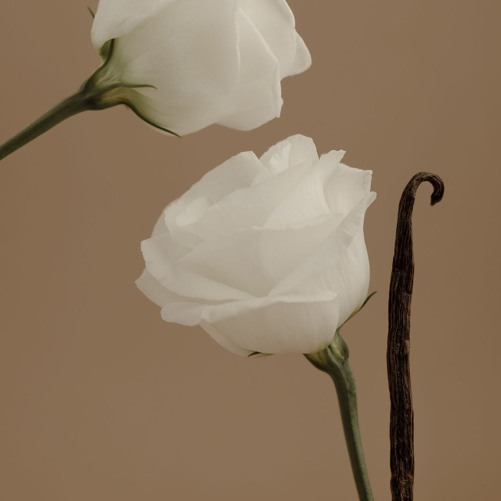 Orchid + Ash Grapefruit + Tonka Bean Perfume - Aura