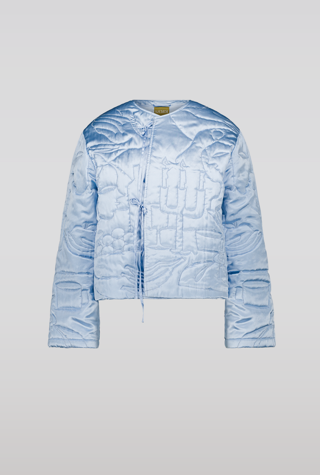 SAEMDI Padded Embroidery Jacket - Baby Blue