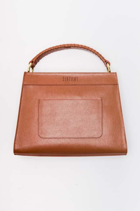 Sentient profile image