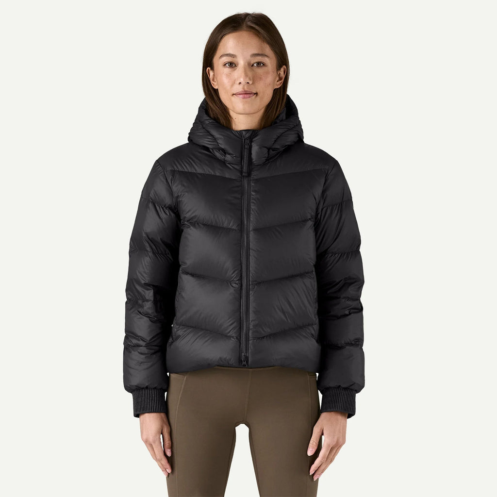 Patagonia Sindit Hoody Jacket