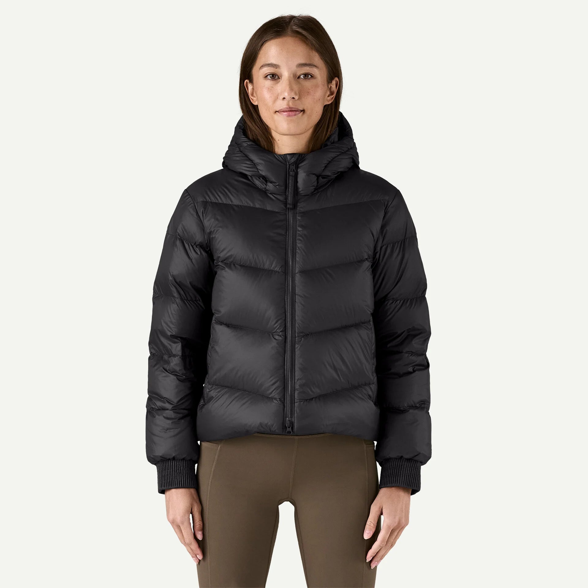 Patagonia Sindit Hoody Jacket