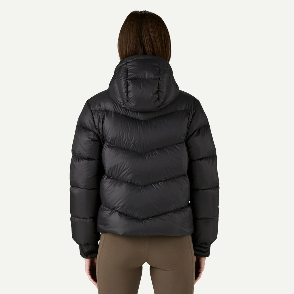 Patagonia Sindit Hoody Jacket