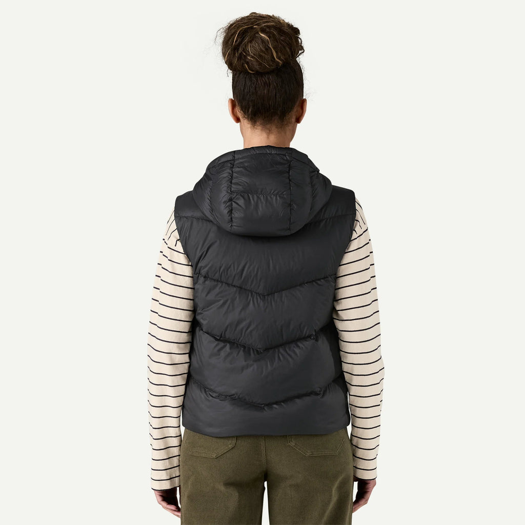 Patagonia Sindit Vest