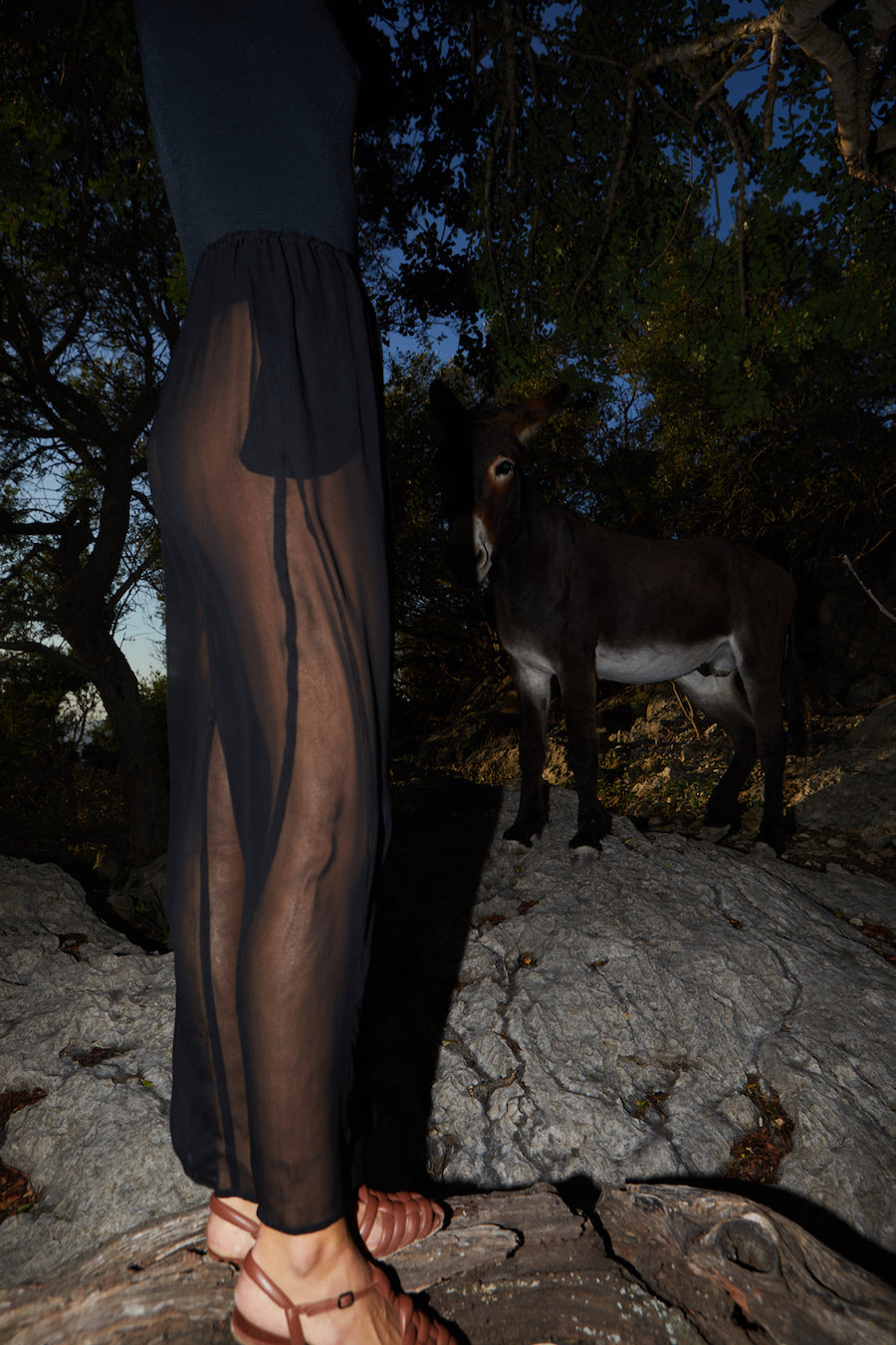 Datura Georgette Judo Pants - Night Black