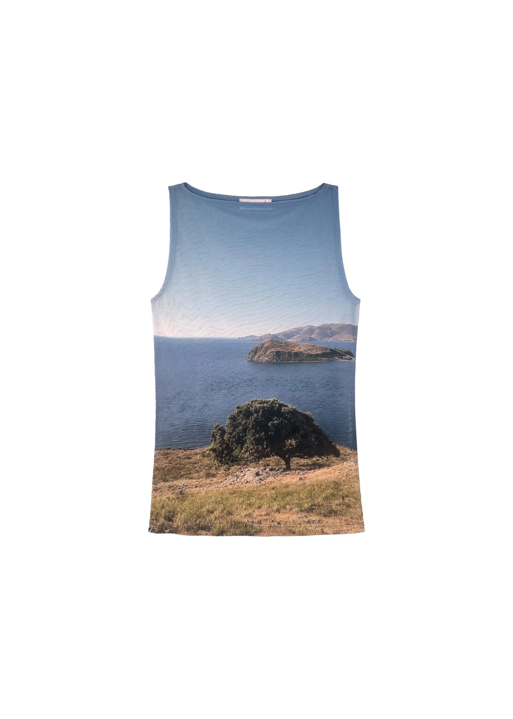 Esthé Printed Mesh Boat Neck Top