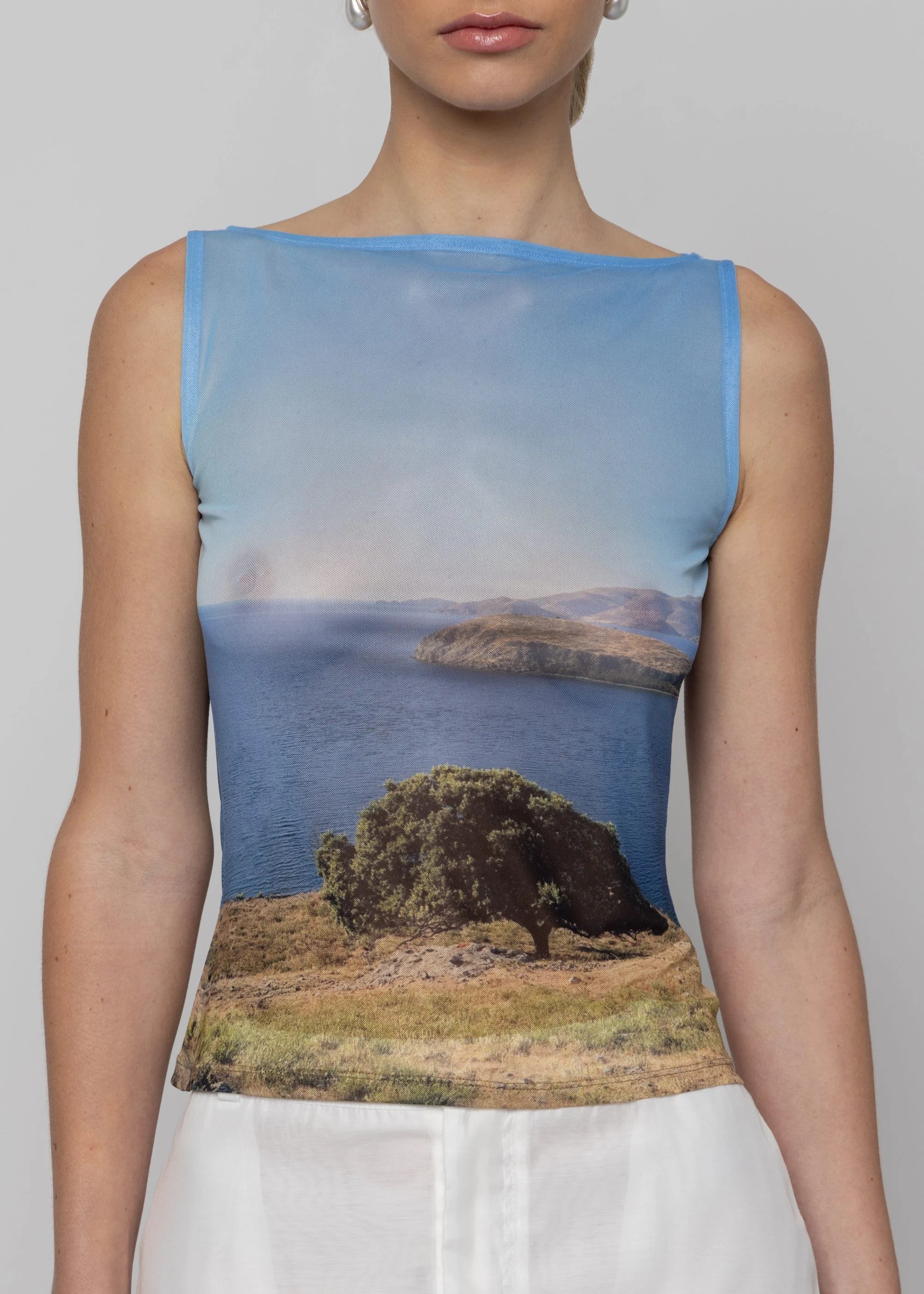 Esthé Printed Mesh Boat Neck Top