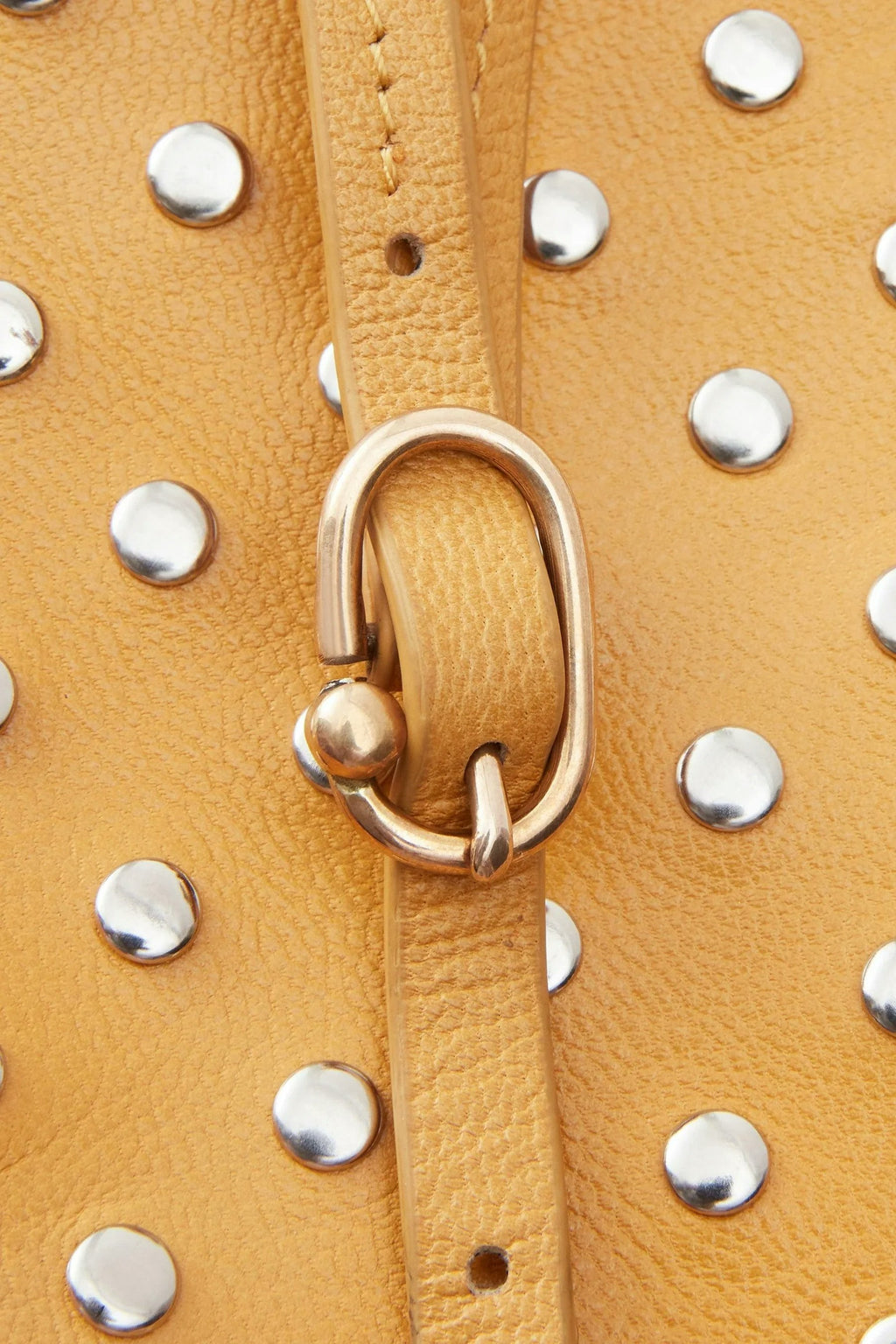 Rachel Comey Studded L'Appat Bag - Mustard