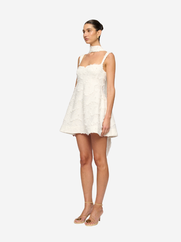 Clea Rue Jacquard Mini Dress