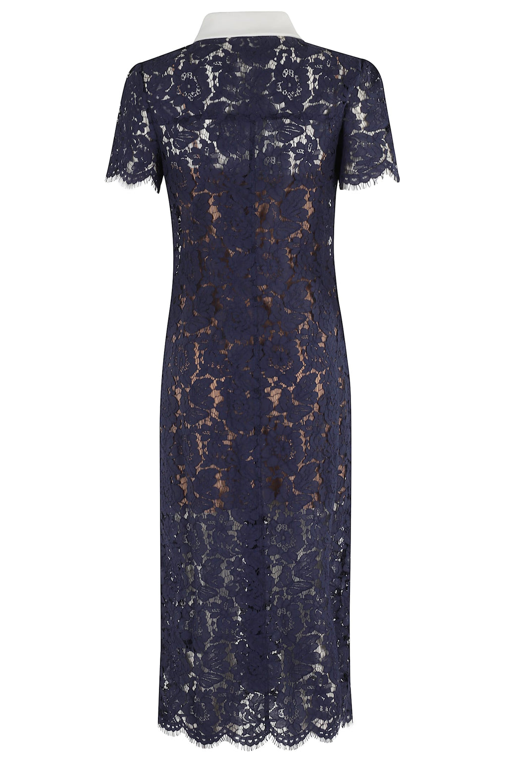 Self-Portrait Lace Contrast Collar Midi Dress - Blue