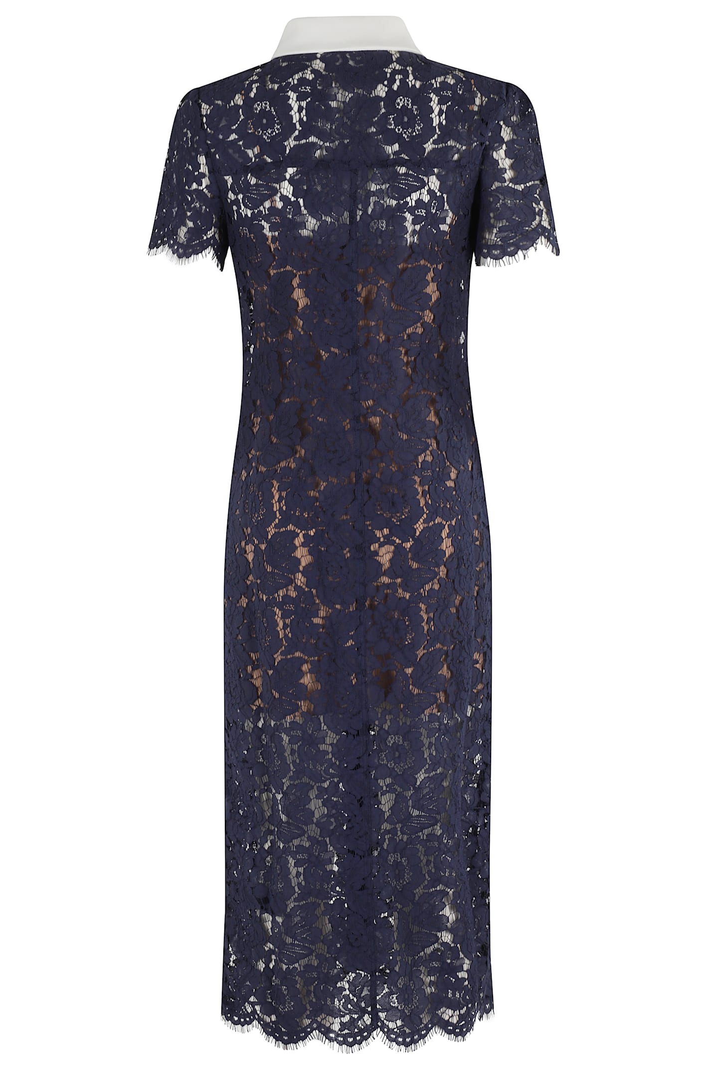 Self-Portrait Lace Contrast Collar Midi Dress - Blue